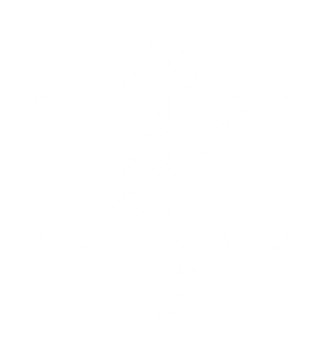 Ícone representando Bônus de Dano Cryo