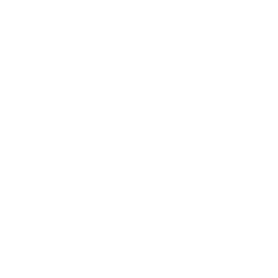 Cálice